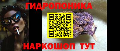 сатива Обнинск