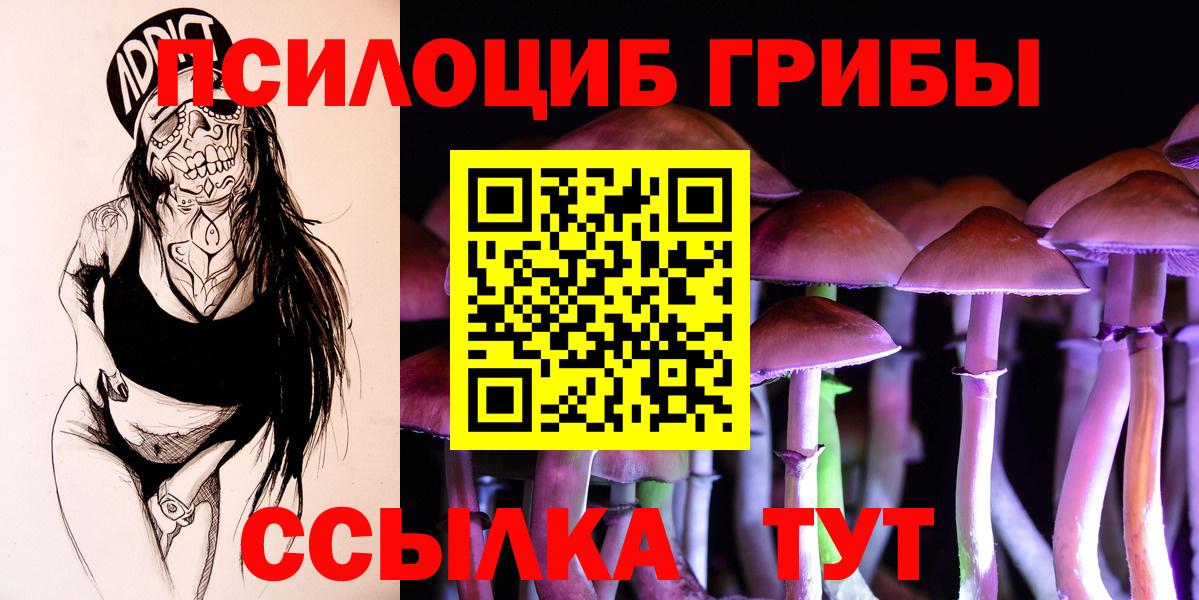 Псилоцибиновые грибы Psilocybine cubensis Светлоград